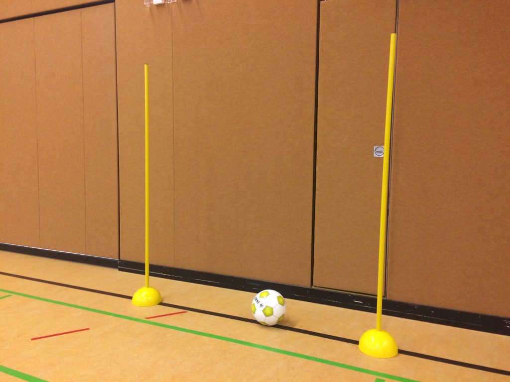 Tormarkierung mit Slalomstangen